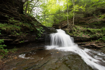 Fototapeta premium Scenic Waterfall in Ricketts Glen State Park in The Poconos in Pennsylvania