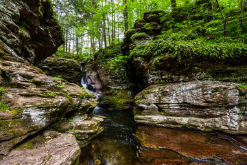 Waterfall in Pocono Mountains in Pennsylvania at Ricketts Glen