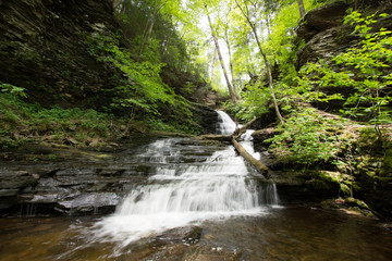 Waterfall in Pocono Mountains in Pennsylvania at Ricketts Glen