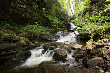Waterfall in Pocono Mountains in Pennsylvania at Ricketts Glen