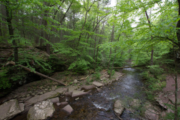 Waterfall in Pocono Mountains in Pennsylvania at Ricketts Glen