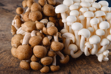 White shimeji mushroom Black shimeji mushroom on wood