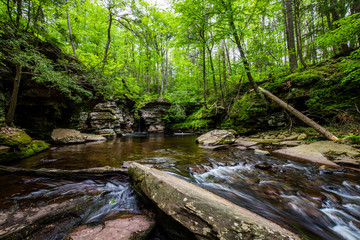 Obraz premium Scenic Waterfall in Ricketts Glen State Park in The Poconos in Pennsylvania