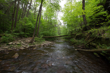 Scenic Waterfall in Ricketts Glen State Park in The Poconos in Pennsylvania