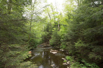 Scenic Waterfall in Ricketts Glen State Park in The Poconos in Pennsylvania