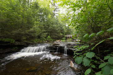 Scenic Waterfall in Ricketts Glen State Park in The Poconos in Pennsylvania