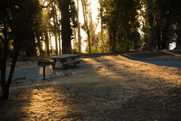 Sunset in a forest over a picnic area