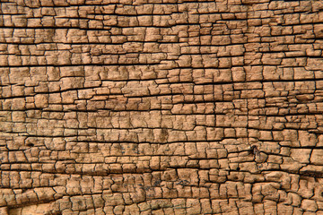 Old wood texture for background - 168947772