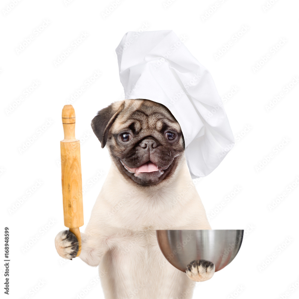 Poster funny dog in chef's hat with a rolling pin and bowl. isolated on white background