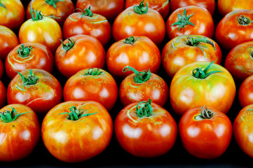 fresh farm picked tomatoes isolated on black background