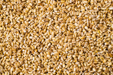 Dry pearl barley