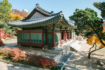 Autumn maple and Korean traditional architecture at Deoksugung Palace in Seoul, Korea