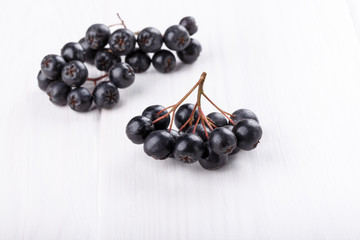 Bunch of black chokeberry ( Aronia ) on white background