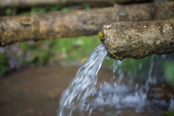 Natural water is flowing from bamboo pipe for agriculture