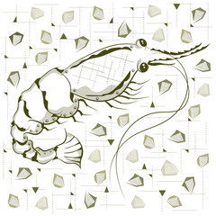 Shrimp. Trend print for T-shirt. Sea life. Seafood.