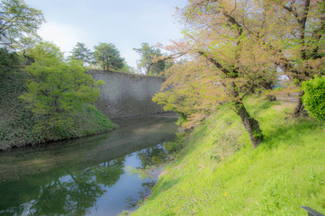 Fototapeta premium Tsuruga castel's moat