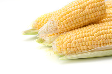 Maize