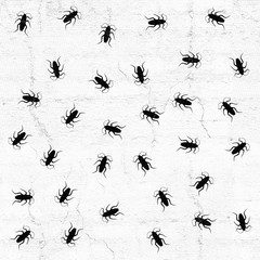 insect pattern