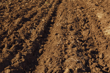 Soil texture background