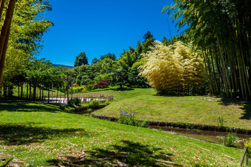 Fototapeta premium Jardin Japonais.