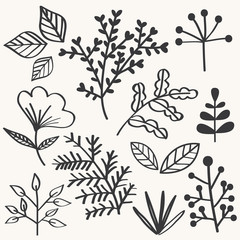 Leaf des1ign collection