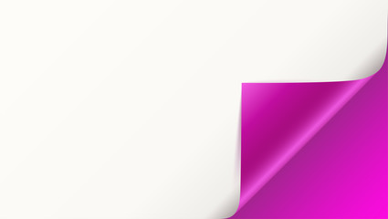 Page curl with shadow on blank sheet of paper. Vector curled corner of white paper with shadow. Close-up isolated on pink background. Paper sticker, 3D illustration