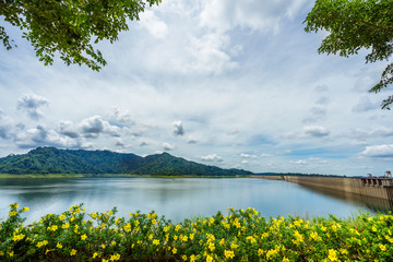 Mountain and water source from dam, relax summer wallpaper, daytime landscape and beautiful blue cloudy sky, pretty spring flower foreground .Khun Dan Prakan Chon Dam, Thailand.