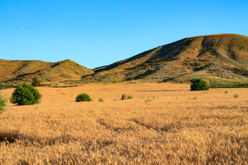 Fototapeta premium Natural landscape