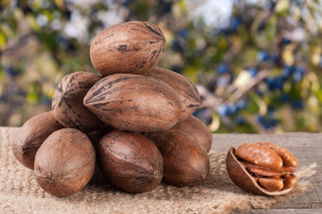 a bunch of pecan nuts on a wooden background with burlap and blurred garden background - obrazy, fototapety, plakaty