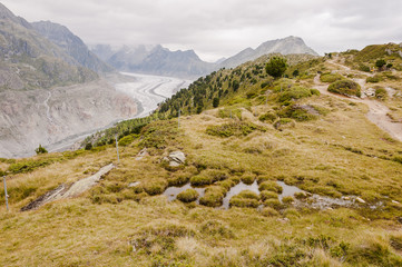 Riederalp, Aletschgletscher, Aletsch, Gletscher, Moosfluh, Hohfluh, Wanderweg, Höhenweg, Gratweg, Alpen, Bettmerhorn, Wallis, Sommer, Schweiz