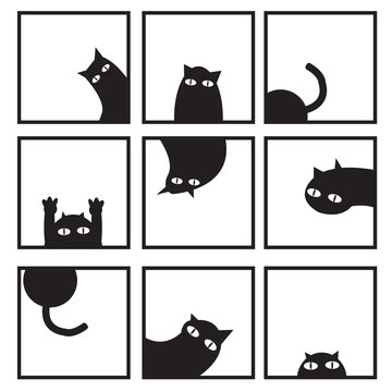 Black cats in nine window vector image
