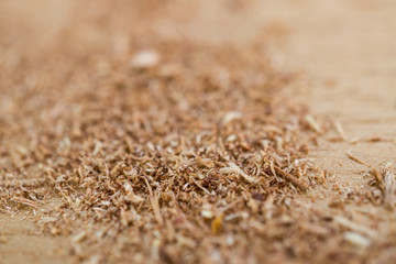 Texture of Sawdust.