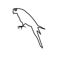 Parrot black color icon .