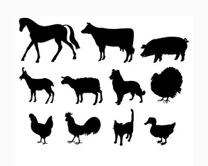 Farm Animals Livestock