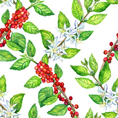 Coffee branch with flowers and fruits, seamless pattern design, hand painted watercolor illustration, white background