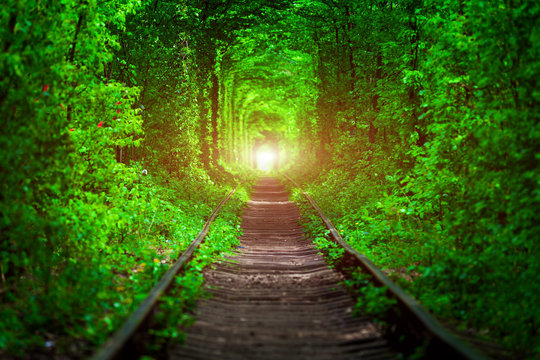 Fototapeta kolej w wiosennym leśnym tunelu miłości