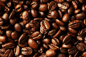 coffee beans