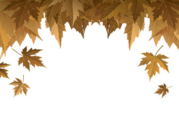 Autumn leaf frame. Autumn leafs.  Autumn banners with colorful leaves vector. Autumn leaves design elements for greeting card, discount, and brochure.