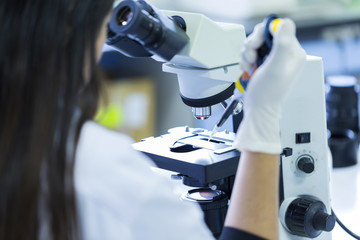 Rear view of Scientist holding pipette working a microscope at the laboratory