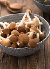 yanagi mushrooms on wood