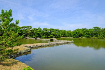 Obraz na płótnie Canvas 夏の日本庭園