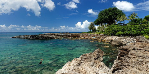 Shark's Cove at Pupukea is one of top spots for snorkeling along the popular North Shore, Oahu.