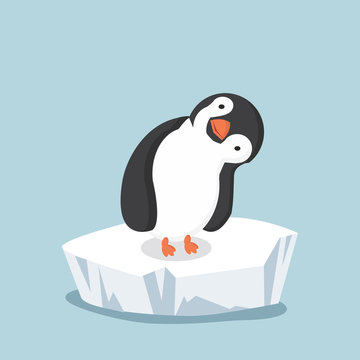 penguin on ice floe