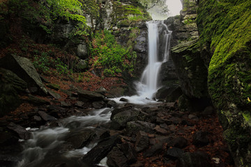 Naklejka na ściany i meble Waterfall Forest Scene with Moss Rocks