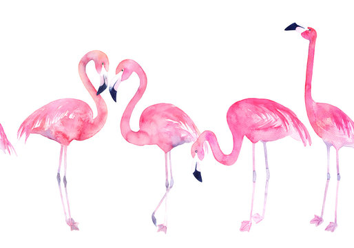 Watercolor flamingo print. Seamless pattern. Hand drawn illustration