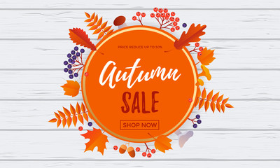 Autumn sale banner discount September shopping promo or autumnal shop vector design