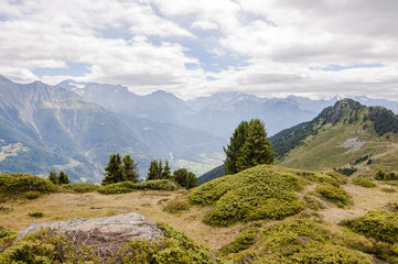 Riederalp, Aletsch, Aletschgletscher, Aletschwald, Simplon, Rohnetal, Höhenweg, Wanderweg, Moosfluh, Riederfurka, Wallis, Alpen, Sommer, Schweiz