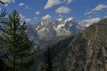 Fototapeta premium grandes Jorasses vues du colle San Carlo