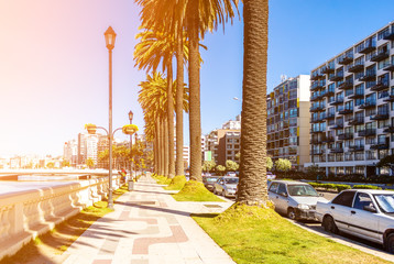 Naklejka premium La Marina embankment in Vina del Mar, Chile