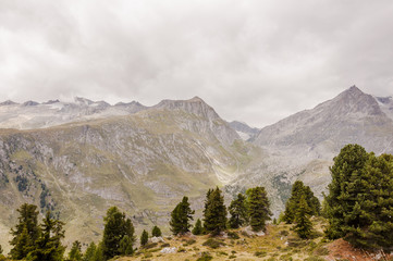 Obraz premium Riederalp, Aletsch, Aletschwald, Aletschgletscher, Wallis, Fusshörner, Beichgletscher, Alpen, Moosfluh, Wanderweg, Sommer, Schweiz